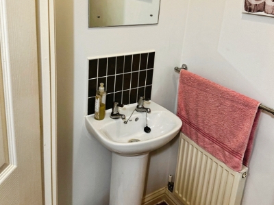 Picture 11